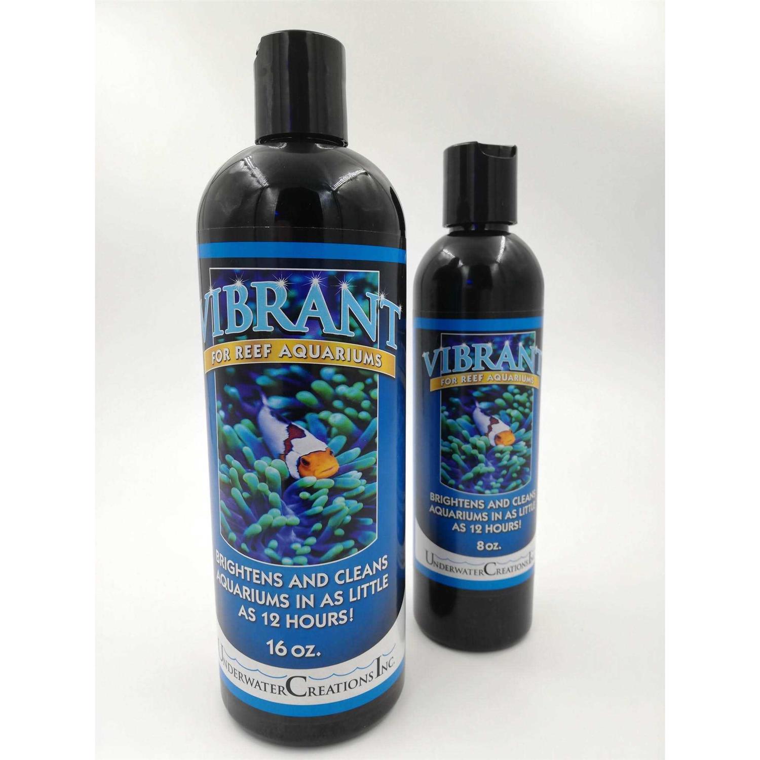 Vibrant Reef - Healthber