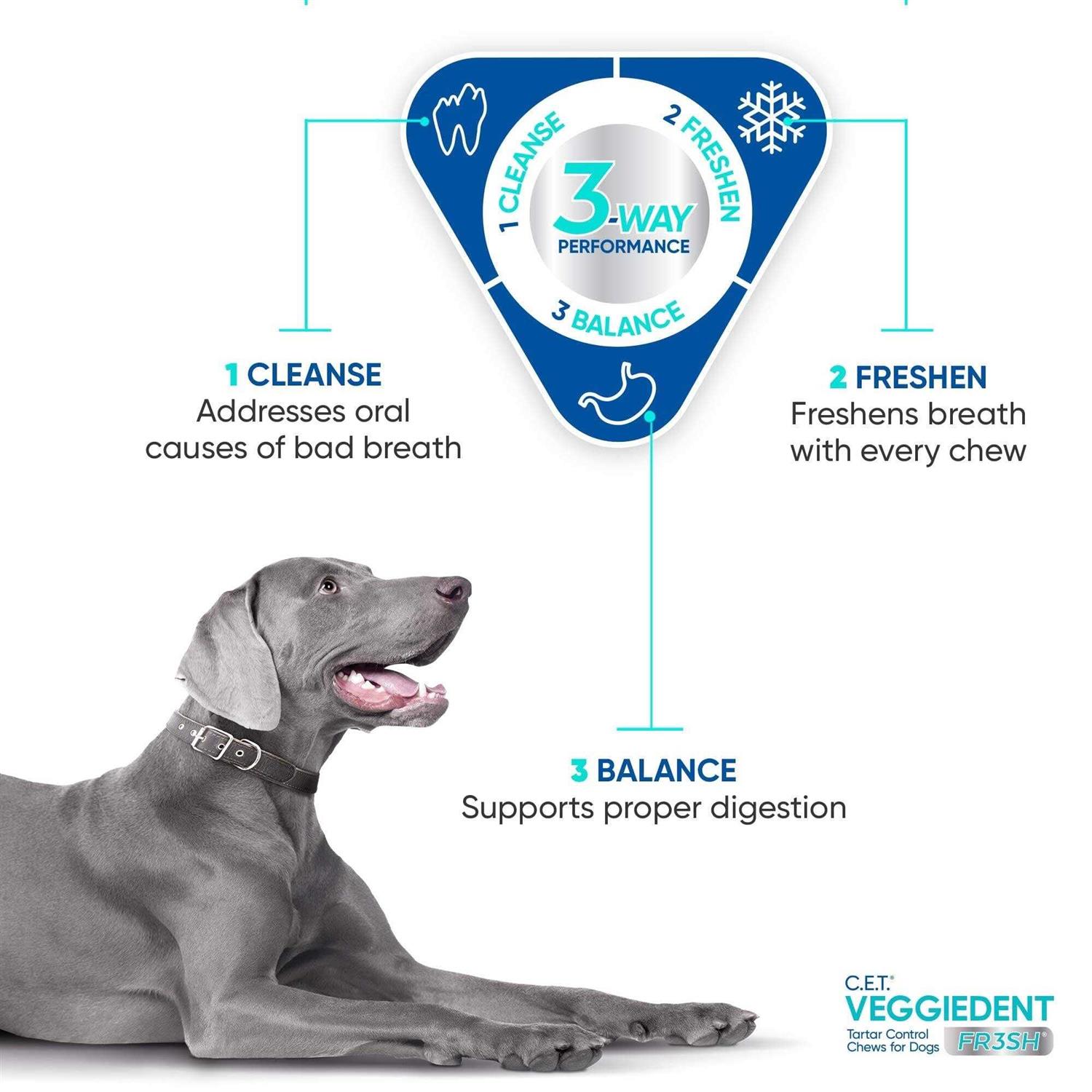 Virbac C.E.T. VeggieDent FR3SH Tartar Control Chews for Dogs - Healthber