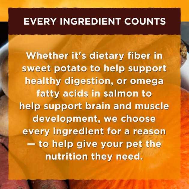 Nature’s Recipe Wet Dog Food - Healthber