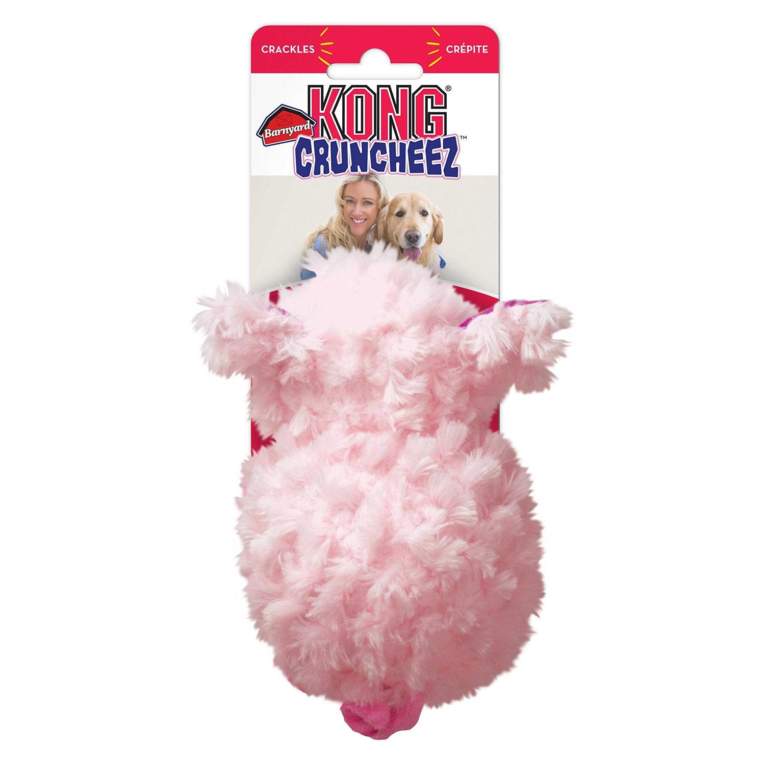Kong Barnyard Cruncheez Pig Dog Toy - Healthber