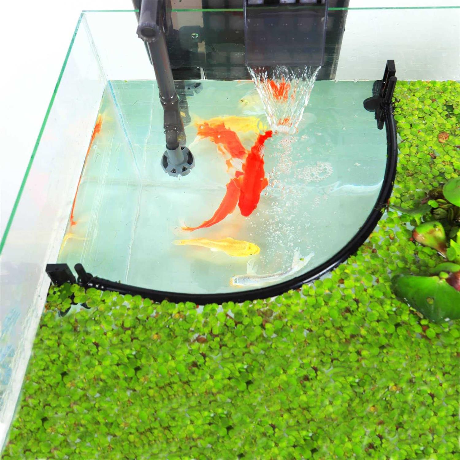 Hozoe Aquarium Floating Plant Corral, Intercepting Floating Plants from Filters and Heaters - Healthber