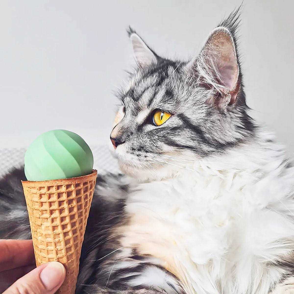 Cheerble Ice Cream Ball Smart Interactive Cat Toy Ball - Healthber