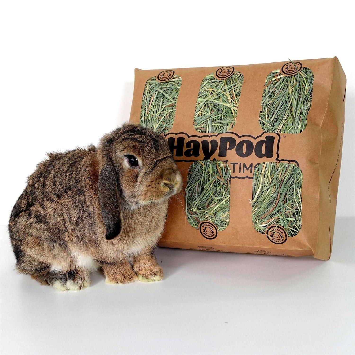 Guineadad Timothy Hay for Guinea Pigs Rabbits - Healthber