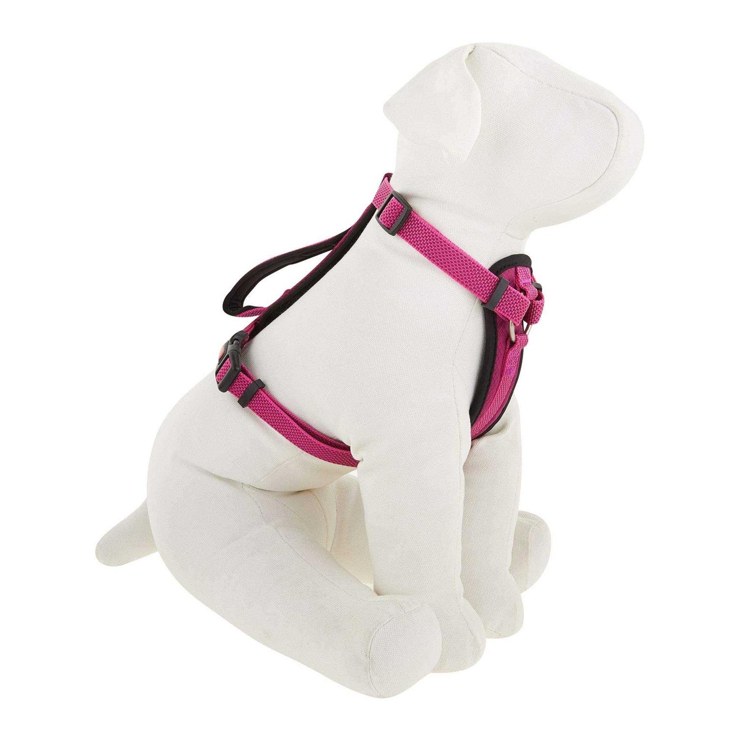 Kong Comfort Padded Chest Plate Dog Harness - Healthber