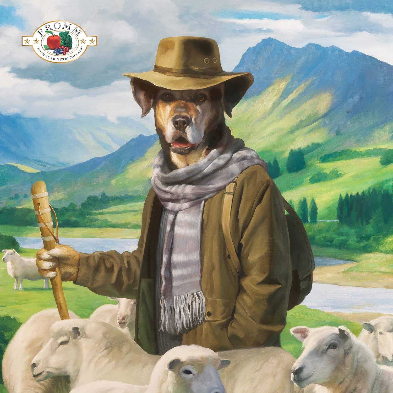 Fromm Four Star Dry Dog Food Zealambder Recipe - Healthber