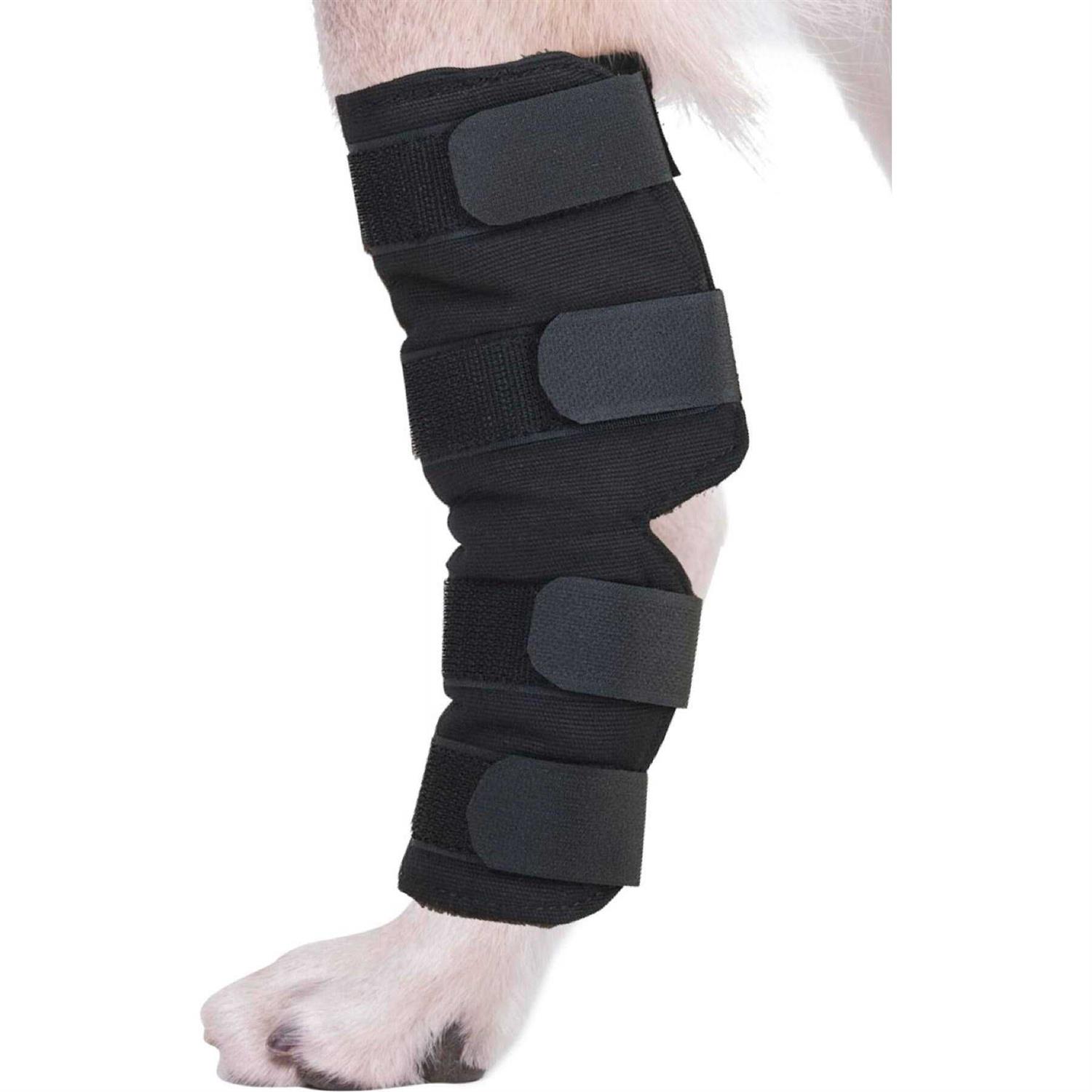 Agon canine Dog Hock Brace Rear Leg Joint Wrap Protects Wounds as They Heal, compression Wrap, Heals and Prevents Injuries and Sprains Helps - Healthber