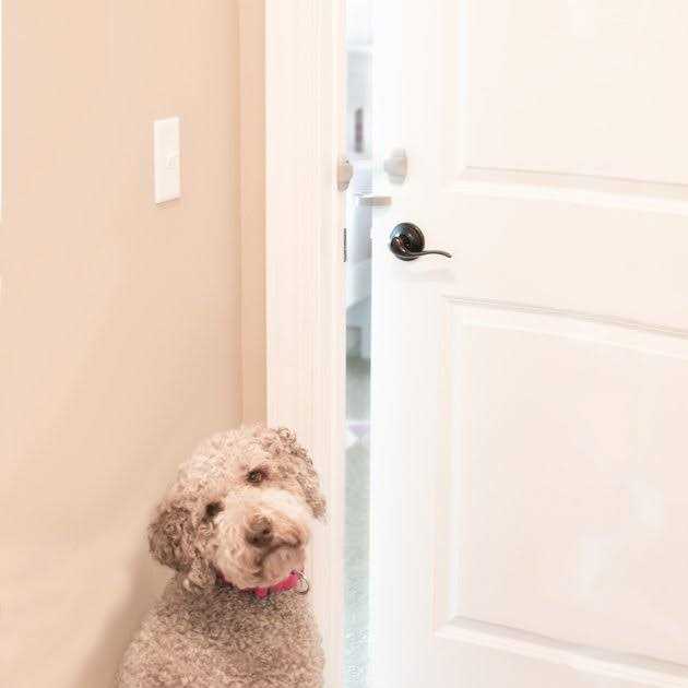 North States Door Paw-tector for Dogs - Healthber