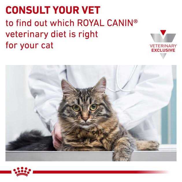 Royal Canin Veterinary Diet Hydrolyzed Protein Feline Treats - Healthber