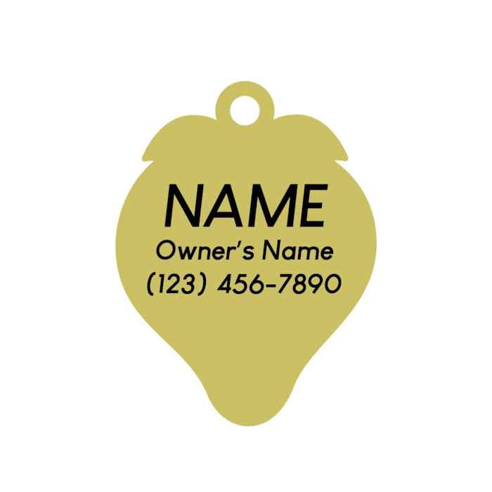 Two Tails Pet Company Berry Special Pet ID Tag - Healthber