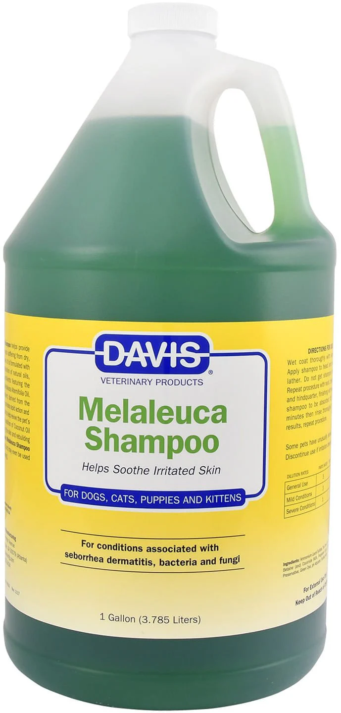Davis Melaleuca Shampoo for Dogs and Cats - Healthber