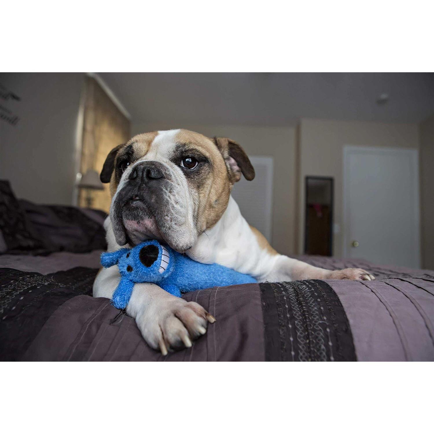 Multipet 24 Loofa Jumbo Dog Toy - Healthber