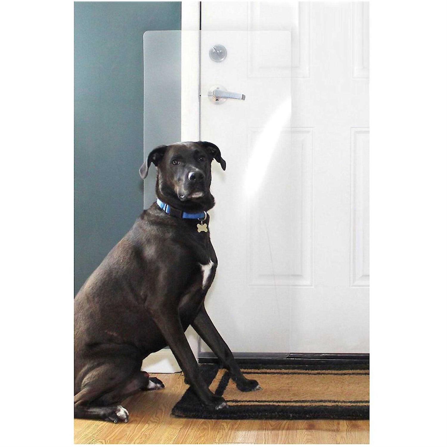 CLAWGUARD Heavy Duty Big Dog Scratch Shield - Healthber