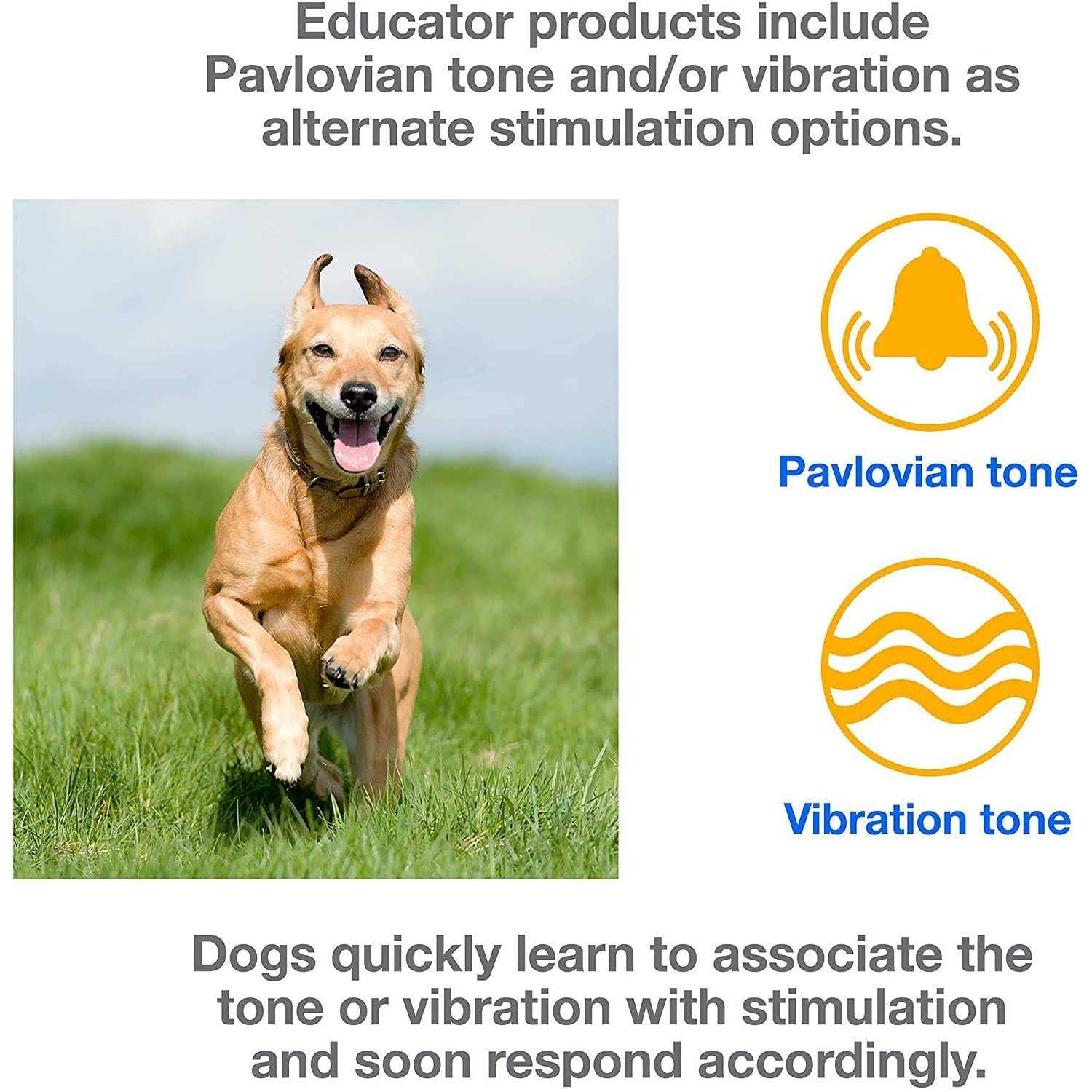 Mini Educator E-Collar ET-300 ET-302 Dog Training Collar System with Remote - Healthber