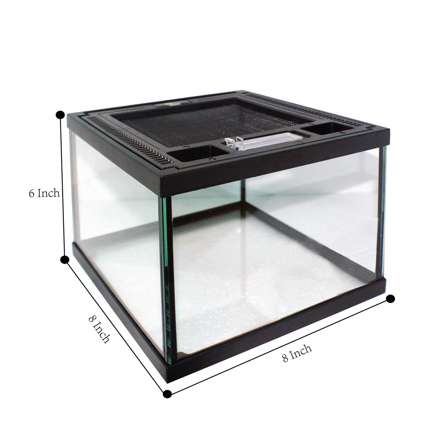 REP BUDDY Glass Terrarium with Ventilation Opening and Feeding Hole for Live Reptiles & Amphibians Bearded Dragon - Healthber
