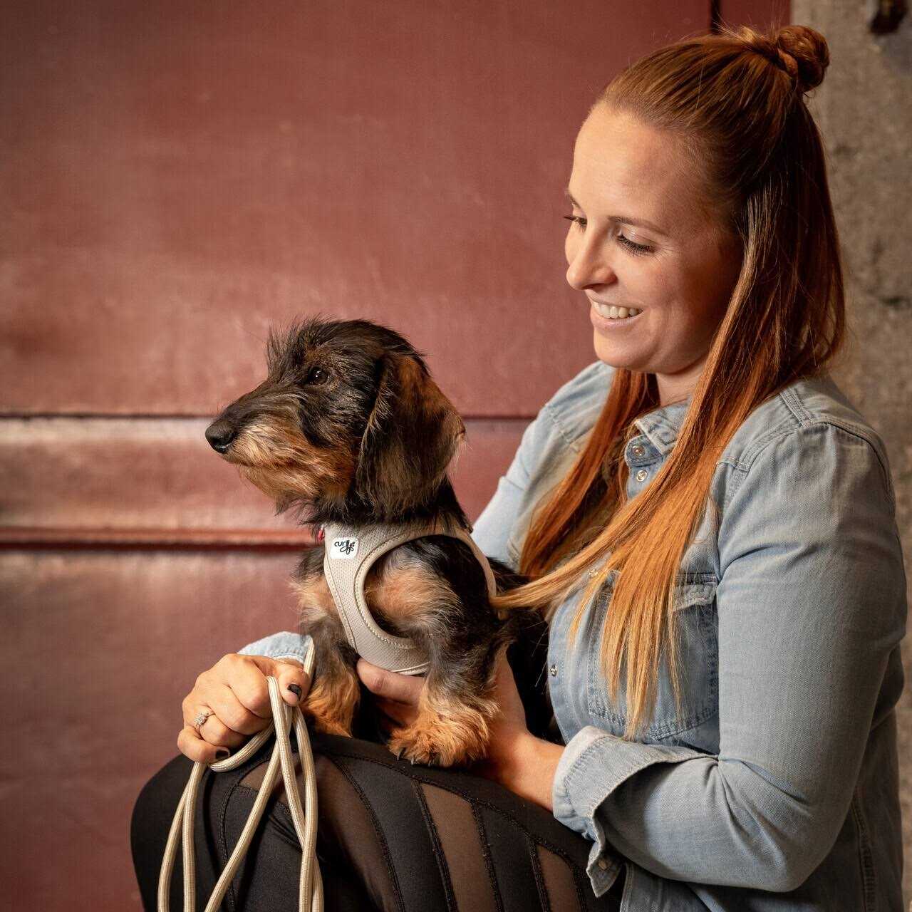 curli Clasp Vest Air-Mesh Dog Harness - Healthber