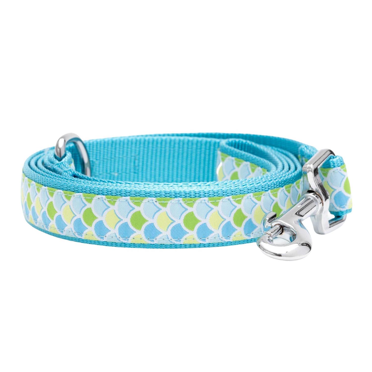 The Worthy Dog Collar - Healthber