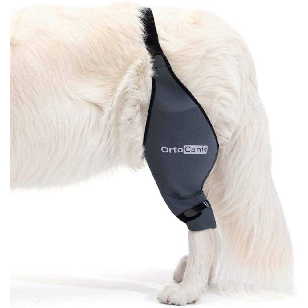 Ortocanis Knee Brace for Dogs with Cruciate Ligament Injuries, Patella Dislocation or Osteoarthritis - Healthber