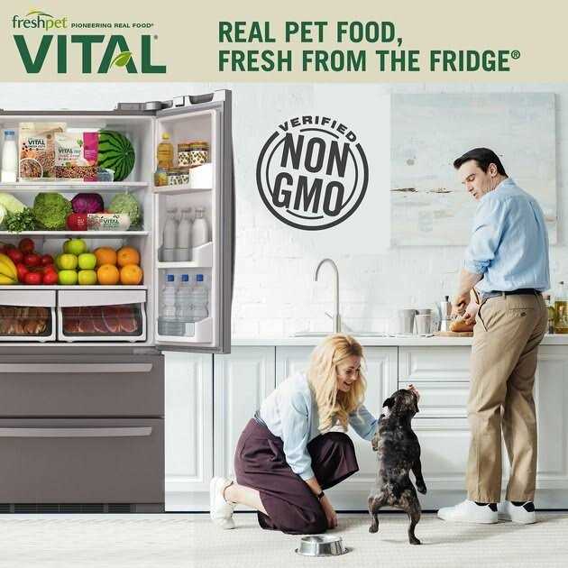 Freshpet Vital Complete Meals Grain-Free Chicken Fresh Small Breed Dog Food - Healthber