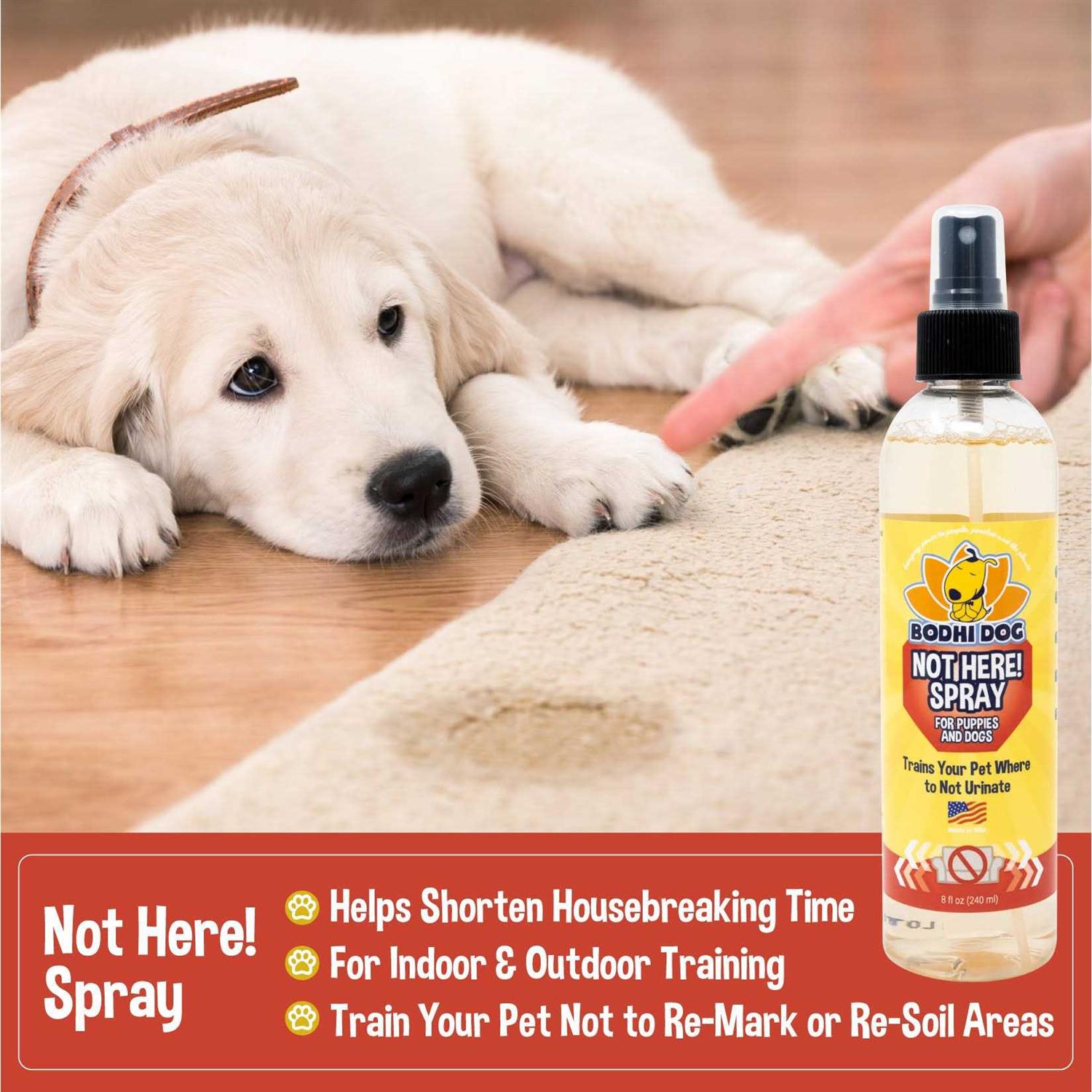 Bodhi Dog Not Here! Spray Trains Your Pet Where Not to Urinate - Healthber