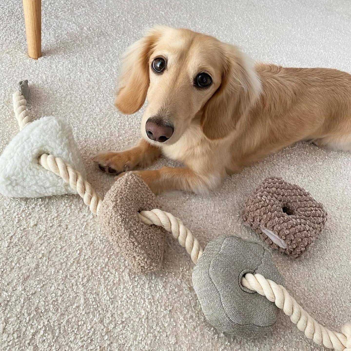 Blocs Enrichment Dog Toy - Healthber