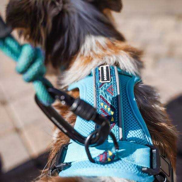Wilderdog Harness - Healthber