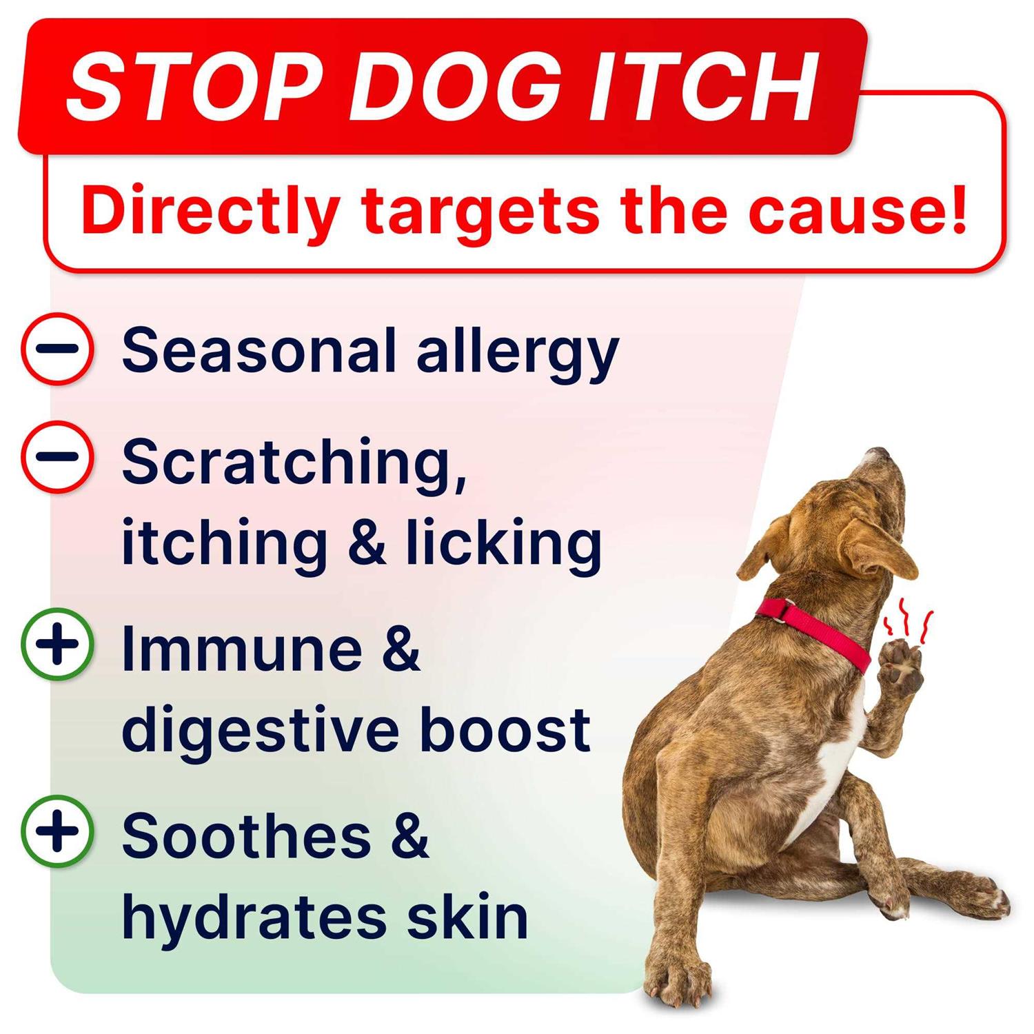 StrellaLab Allergy Relief - Healthber