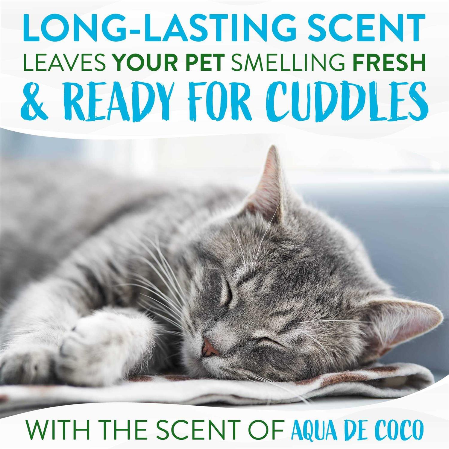 Tropiclean Dander Reducing Waterless Cat Shampoo - Healthber