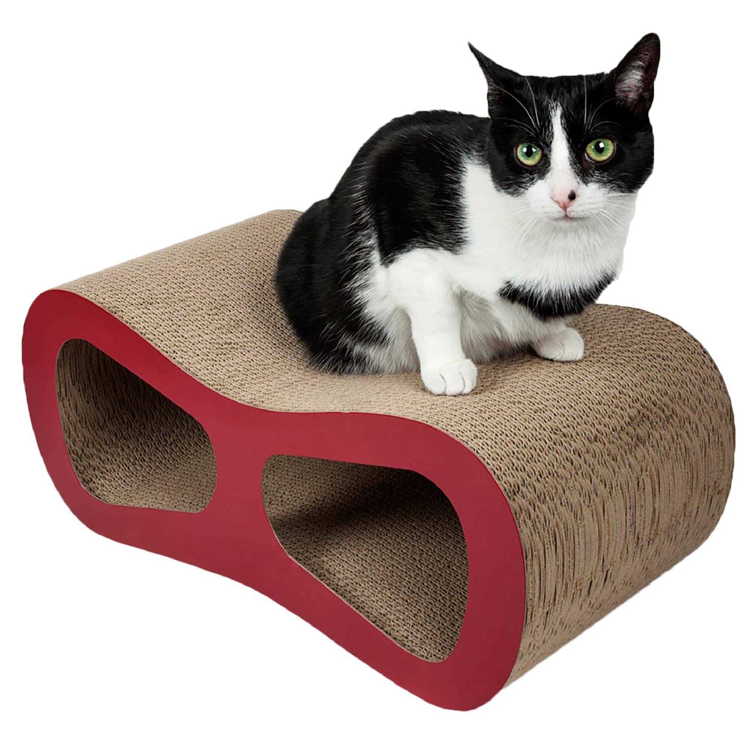 EveryYay Stretch Your Legs Canine Zipline 100′ XL Dog Tie-Out Cable with Trolley | Petco - Healthber
