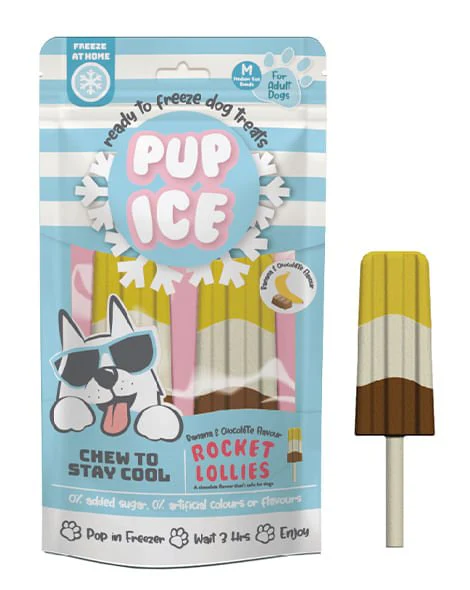 Pup Ice Rocket Lollies, 2pk - Healthber