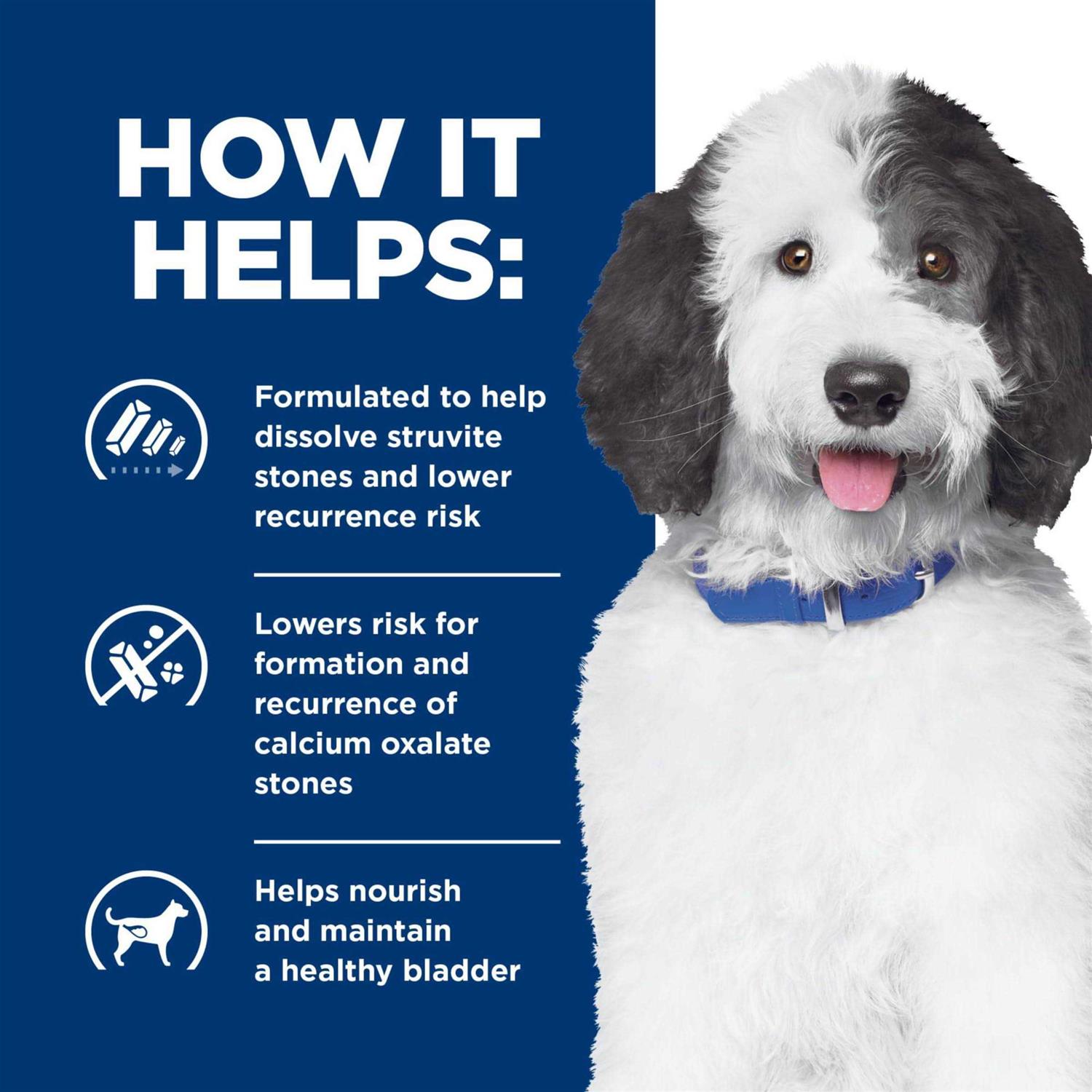 Hill’s Prescription Diet c/d Multicare Urinary Care Chicken Flavor Dry Dog Food - Healthber
