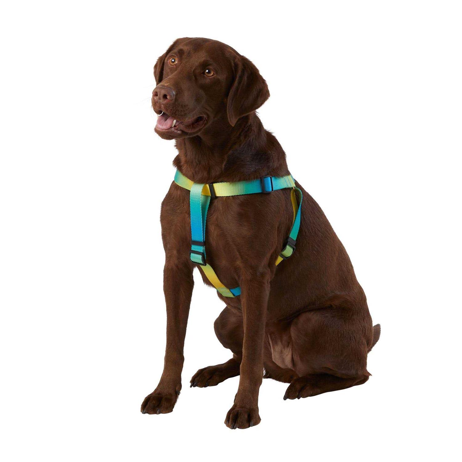 Top Paw Dog Top Pawyellow & Pink Ombre Dog Harness - Healthber