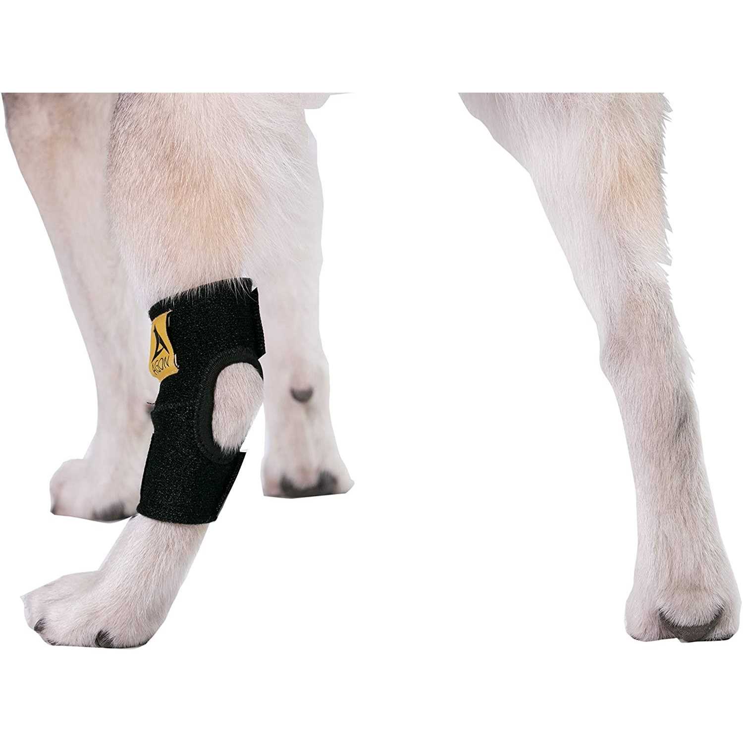 Agon Dog Canine Rear Hock Joint Brace Compression Wrap With Straps Dog For Back Leg Protects Wounds. Heals Prevents Injuries and Sprains Helps - Healthber