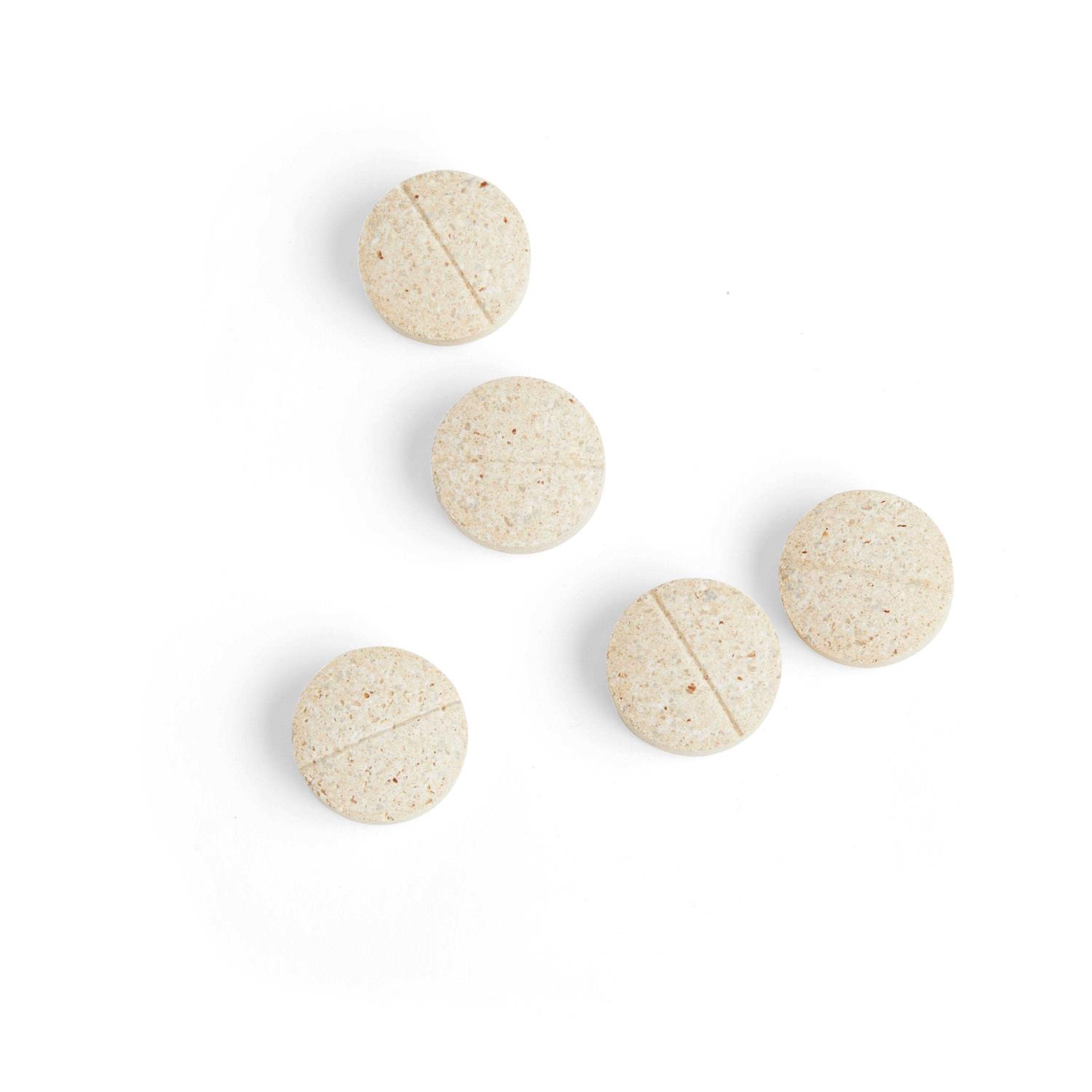 Well & Good Digestive Enzymes & Probiotics Tablets for Dogs - Healthber