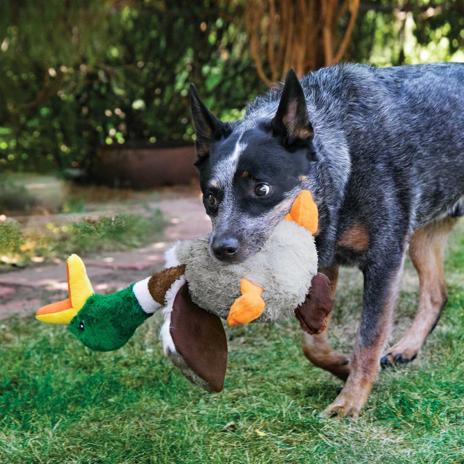 Kong Shakers Honkers Flamingo Dog Toy - Healthber