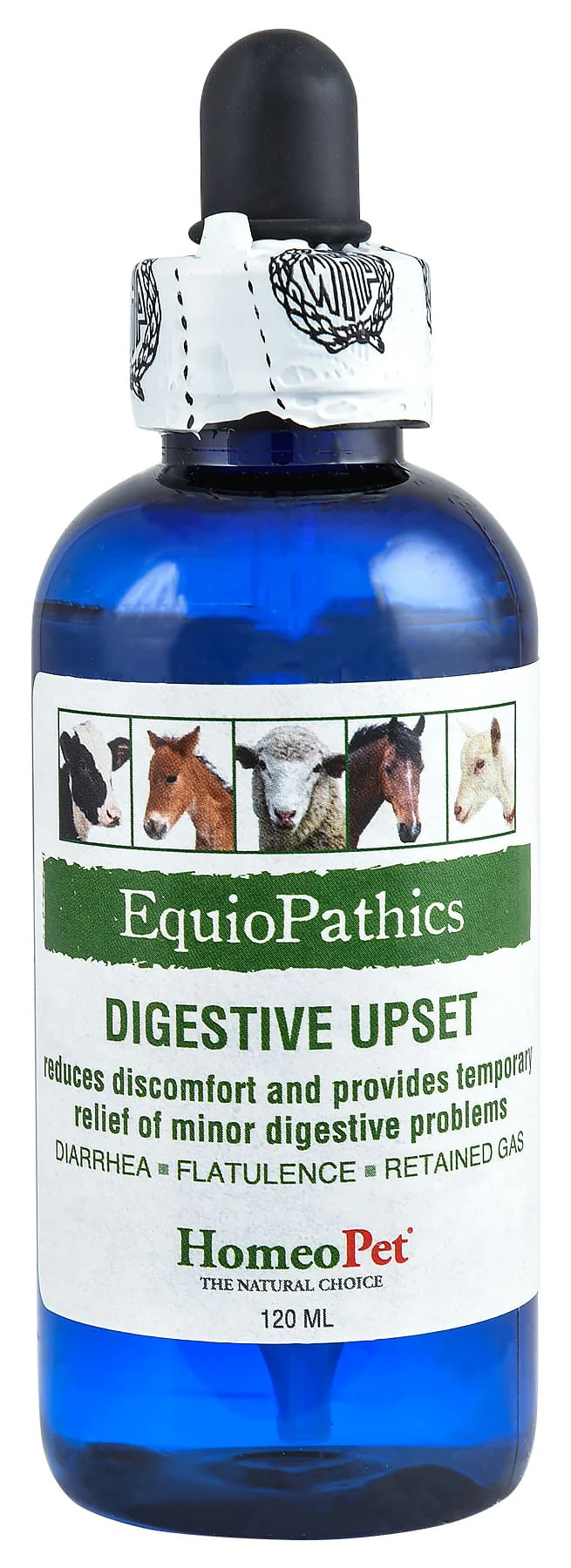 EquioPathics Digestive Upsets, 120 mL - Healthber