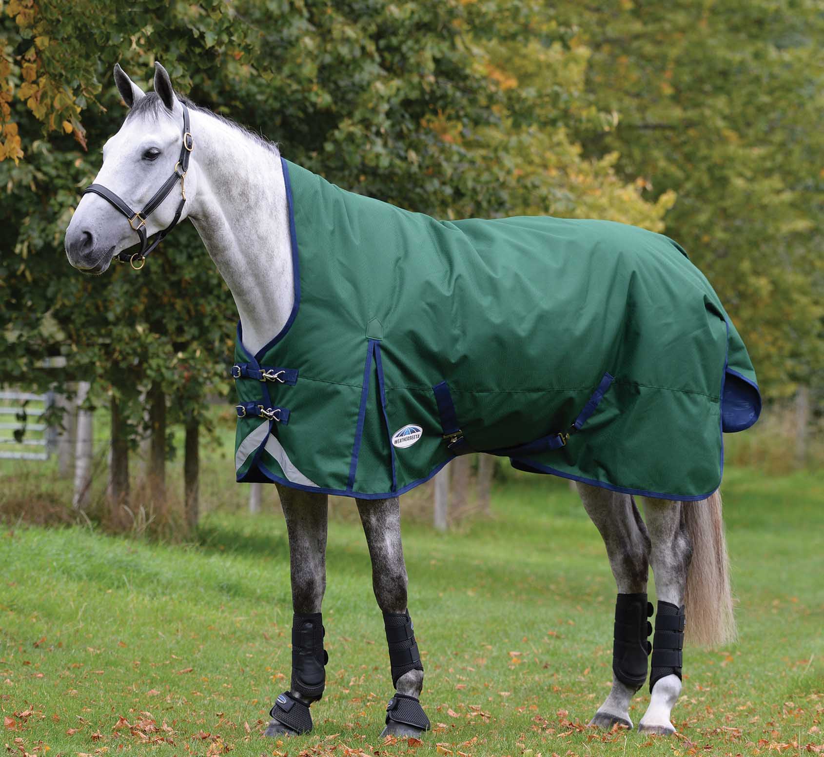 ComFITec Plus Dynamic II High Neck Medium Weight Horse Blanket - Healthber
