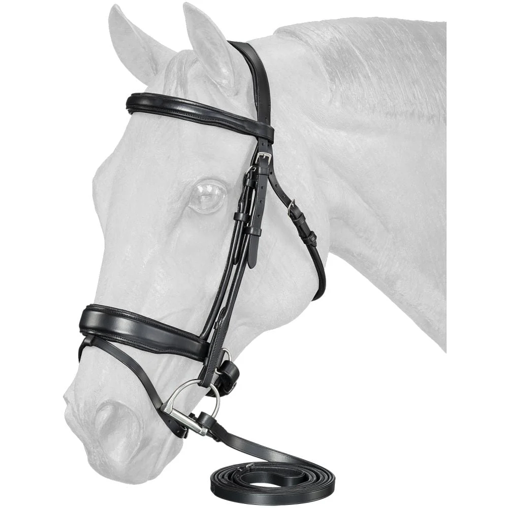 Equitare Cadence Dressage Bridle - Healthber