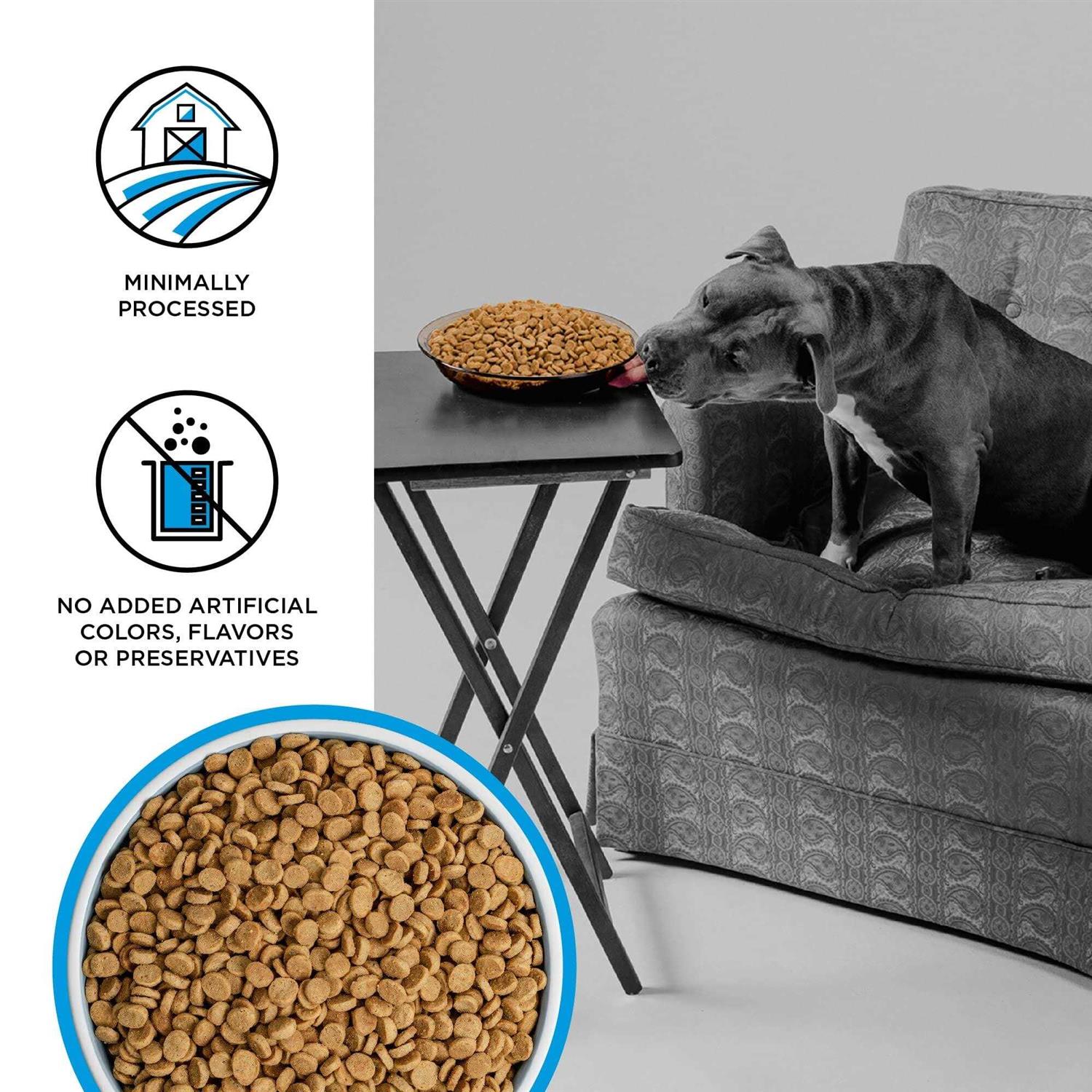 Bixbi Liberty Fisherman’s Catch Grain-Free Dry Dog Food - Healthber