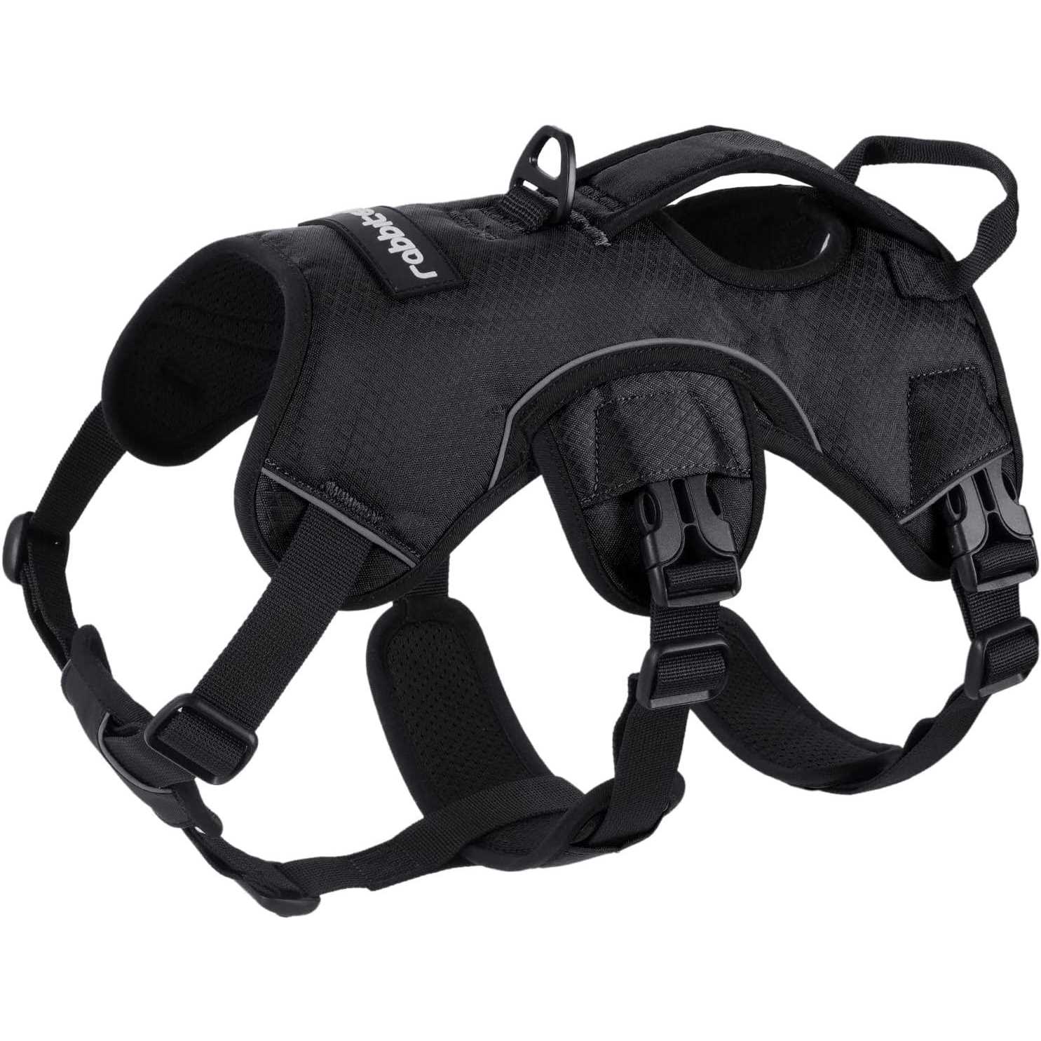 rabbitgoo Dog Harness No Pull Pet Harness with 2 Leash Clips Adjustable Soft Padded Dog Vest - Healthber