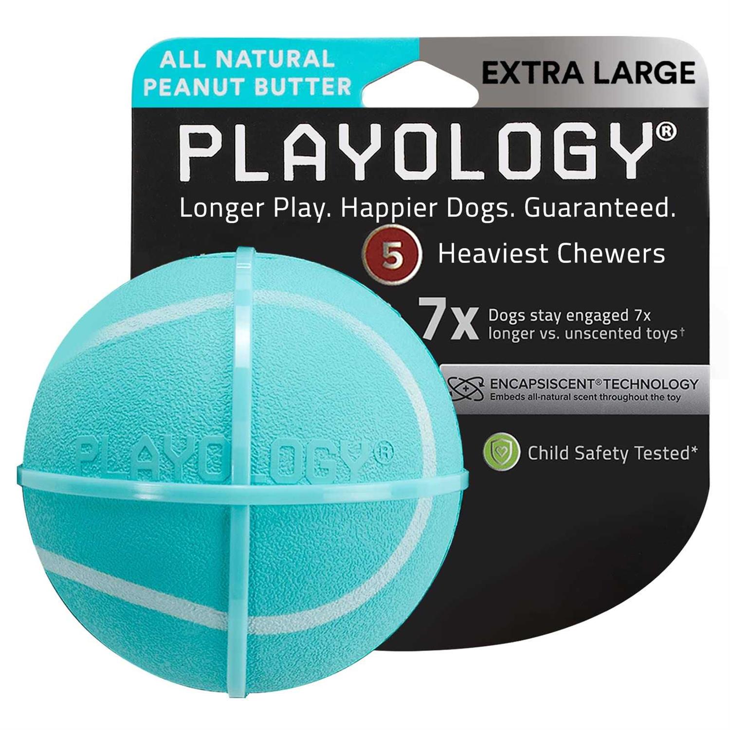 Playology Squeaky Chew Ball Dog Toy - Healthber