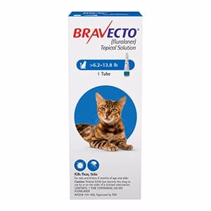 Rx BRAVECTO Topical, Feline - Healthber