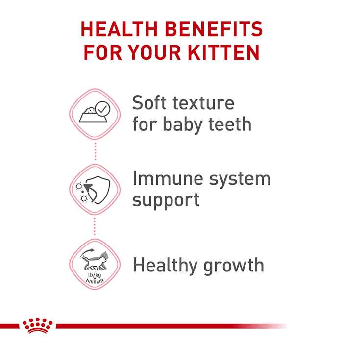Royal Canin Kitten Loaf in Sauce Cat Food - Healthber