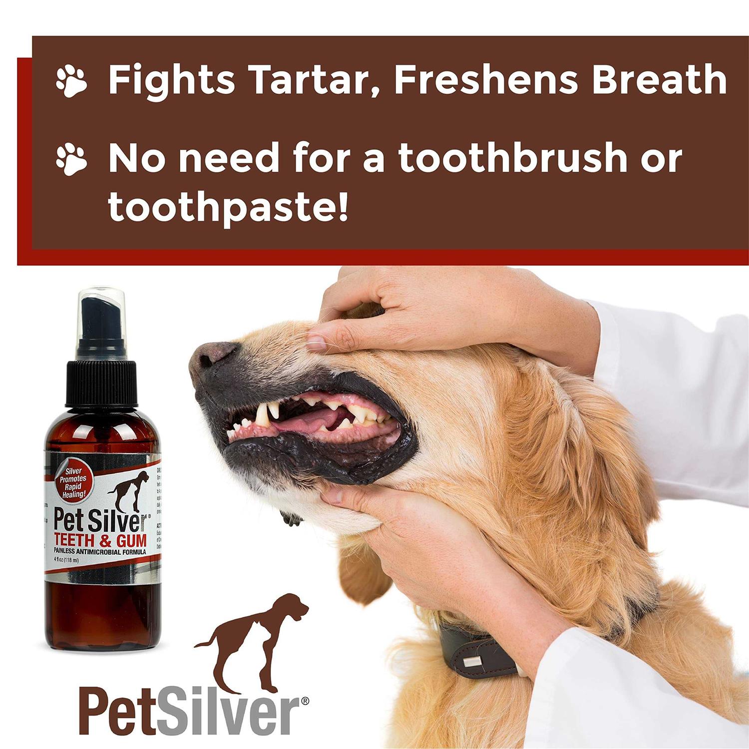 PetSilver Teeth & Gum Spray for Dogs & Cats Eliminate Bad Breath - Healthber