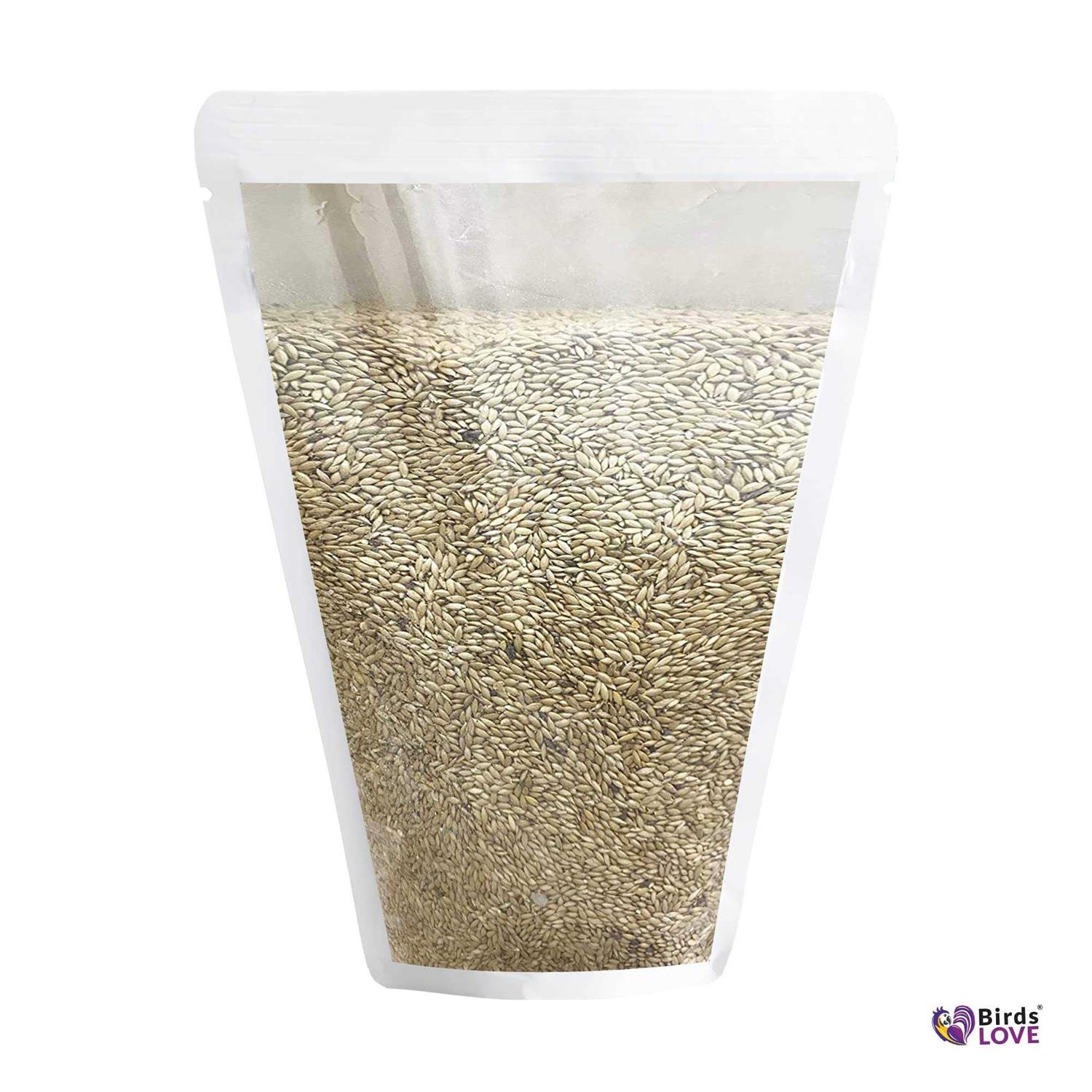 Birds LOVE Alpiste 100% Non-GMO Double Cleaned Canary Seed for Canaries and Finch Birds with No Fillers or Additives - Healthber