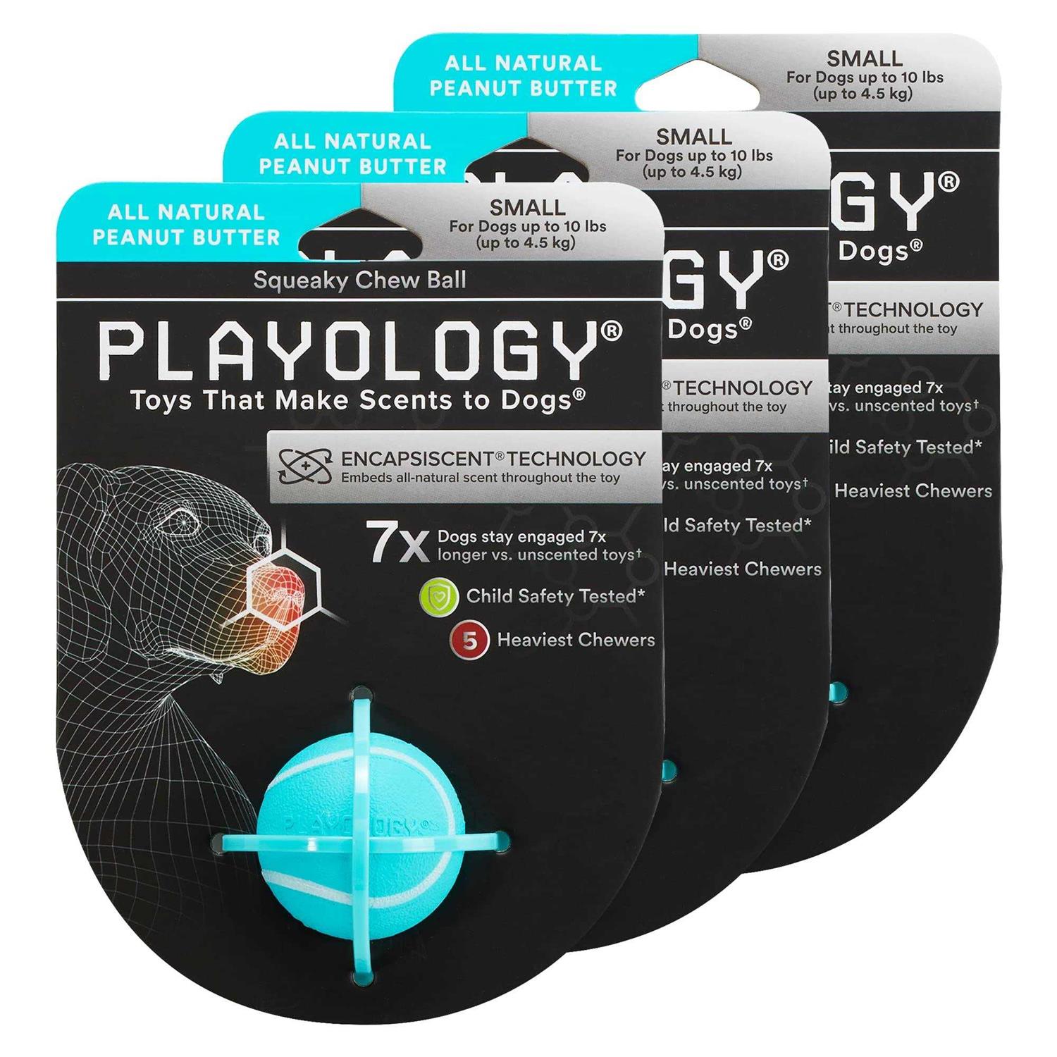 Playology Squeaky Chew Ball Dog Toy - Healthber