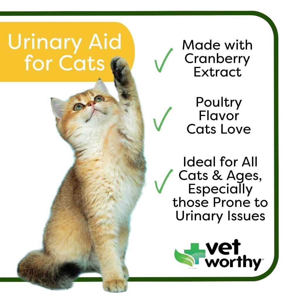 Vet Worthy Urinary Aid Soft Chews for Cats - Healthber