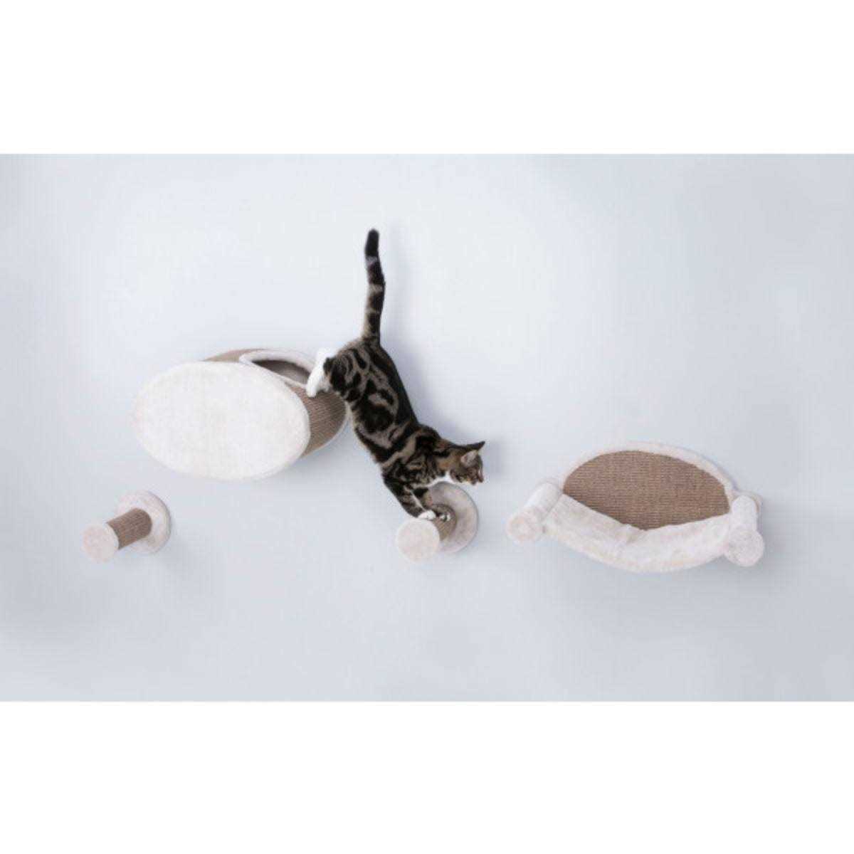 Trixie Wall Mounted Cat Lounge Set Hammock and Condo with Two Steps - Healthber