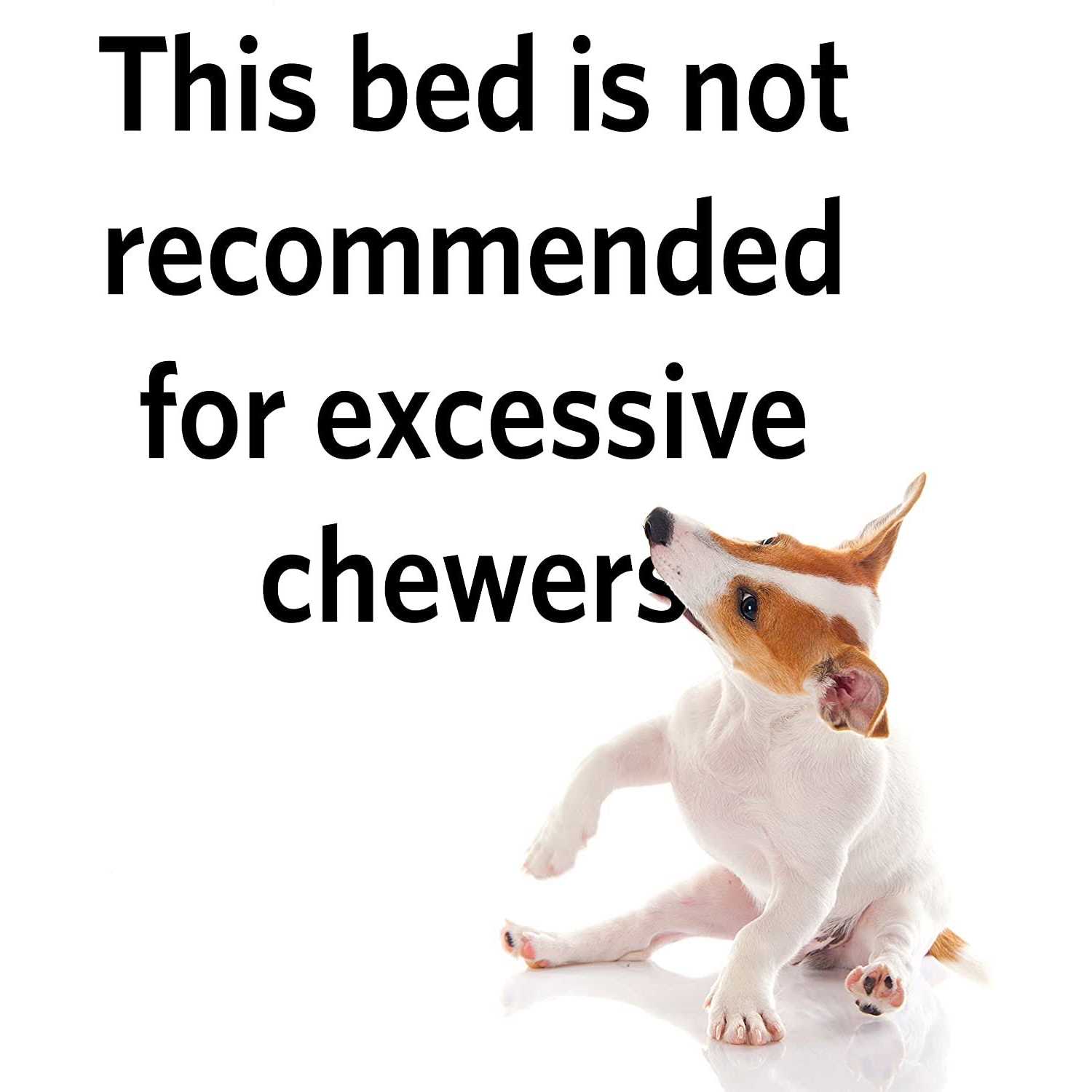 Quiet Time Maxx Pet Bed - Healthber