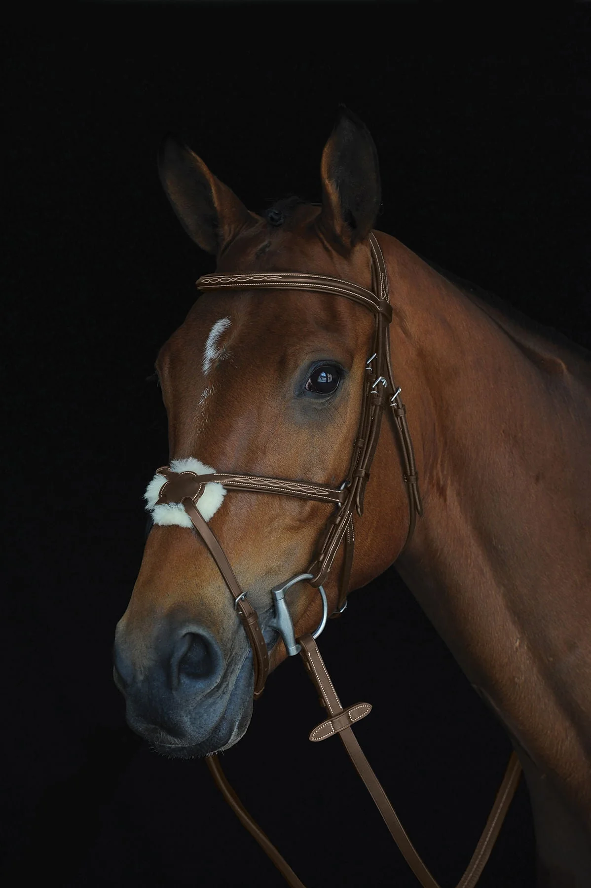 Collegiate Mono Crown Figure 8 Bridle, Brown - Healthber