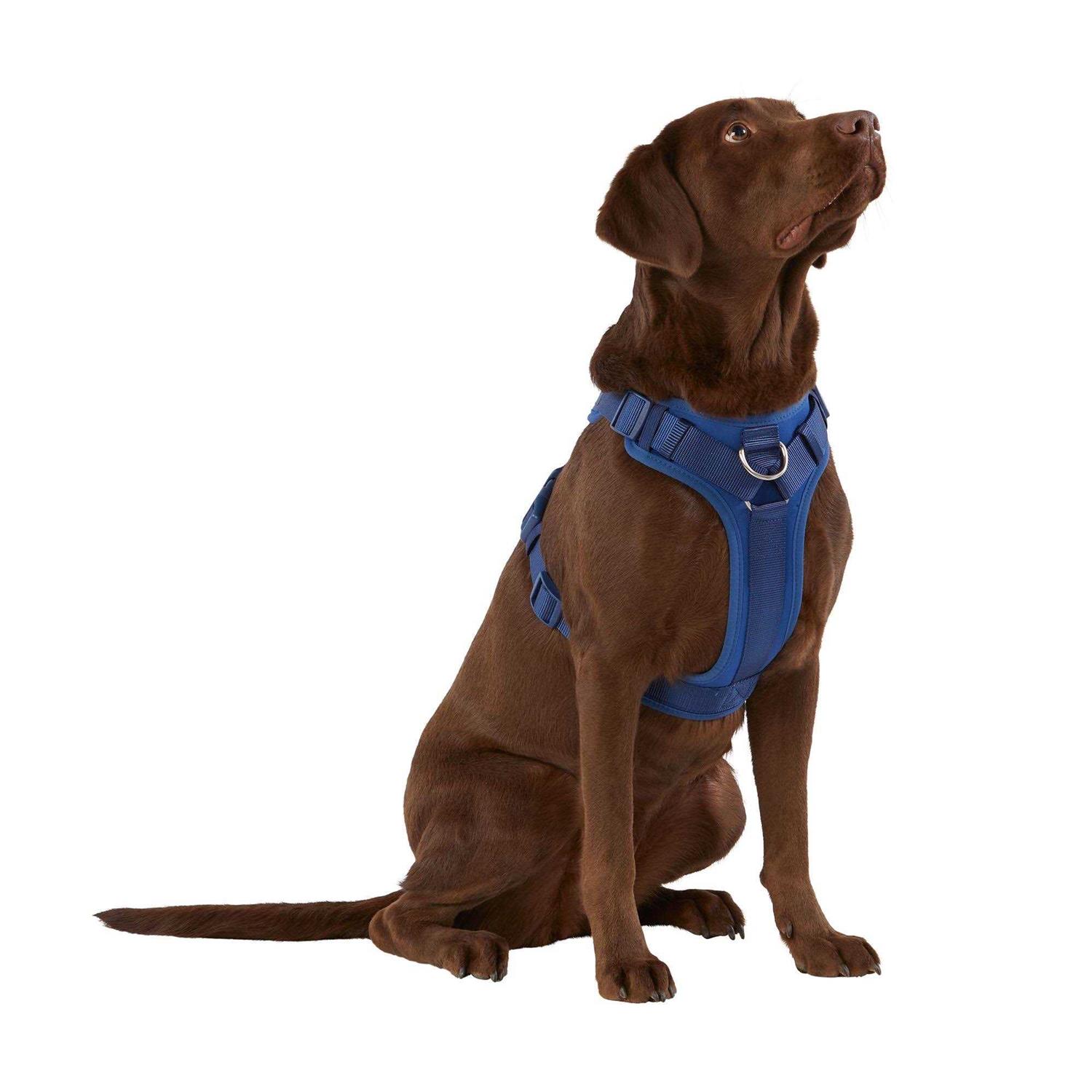 Top Paw Neoprene Comfort Dog Harness - Healthber